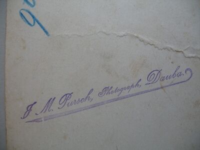 Dauba Pursch rück.jpg