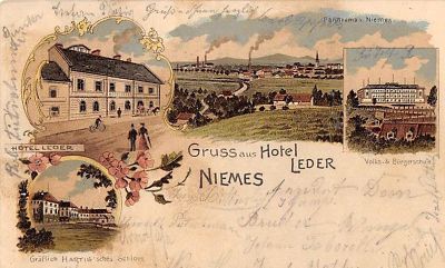 Niemes-lederer-litho.jpg