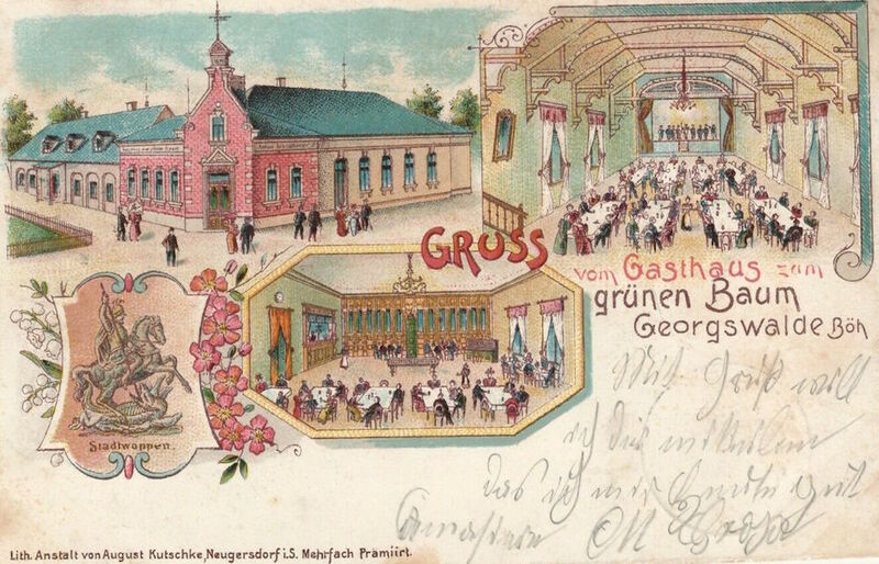 Datei:Georgswalde grüner baum.jpg