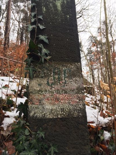 Schlängelschandau 3621.JPG