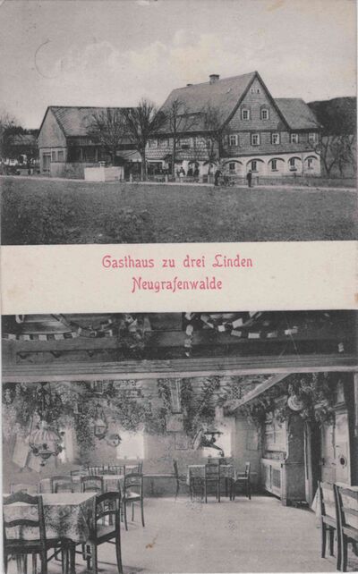 Neugrafenwalde 3 Linden.jpeg