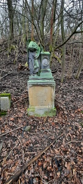 Datei:20260214 155136.jpg