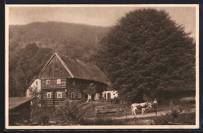 AK-Babutin-Bauernhaus-mit-alter-Linde.jpg