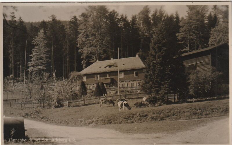 Datei:Tannenbaude bei Schmiedeberg.jpeg
