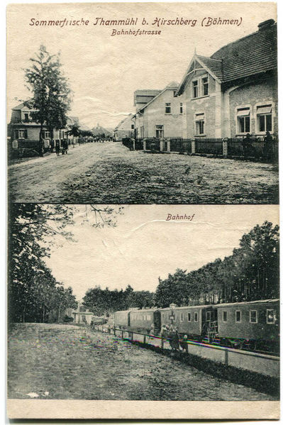 Datei:Thammühl, Großteich 28a.jpg