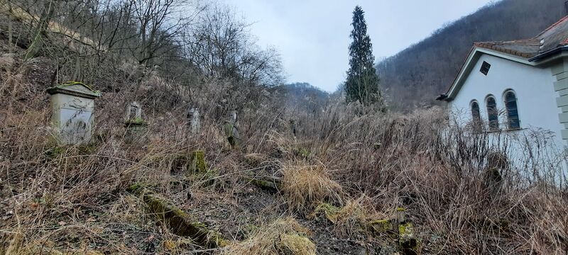 Datei:20260214 154958.jpg