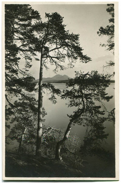 Datei:Thammühl, Großteich 26a.jpg