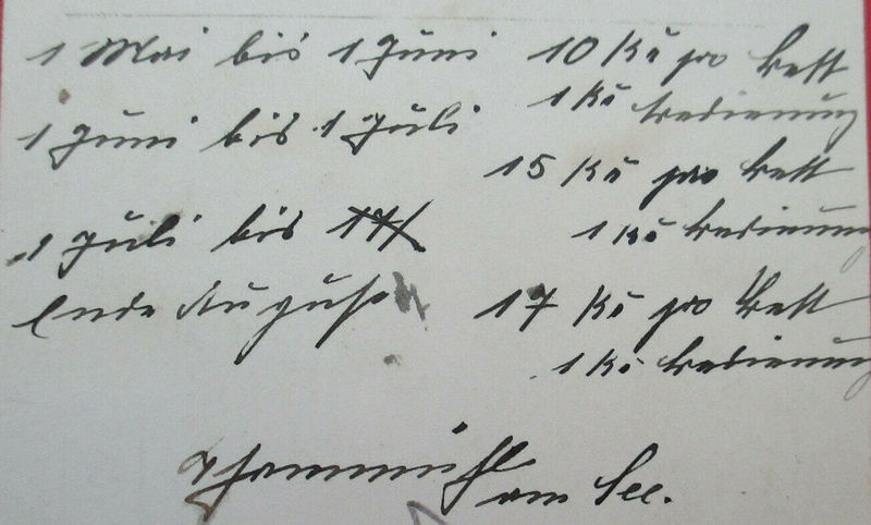 Datei:Thammühl elfriede1.jpg