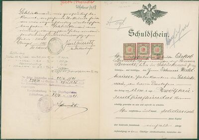 Schluckenau schukdschein.jpeg