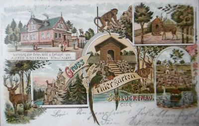 Schluckenau tiergarten1.jpg