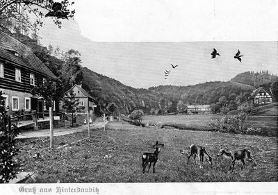 Hinterdaubitz5.jpg