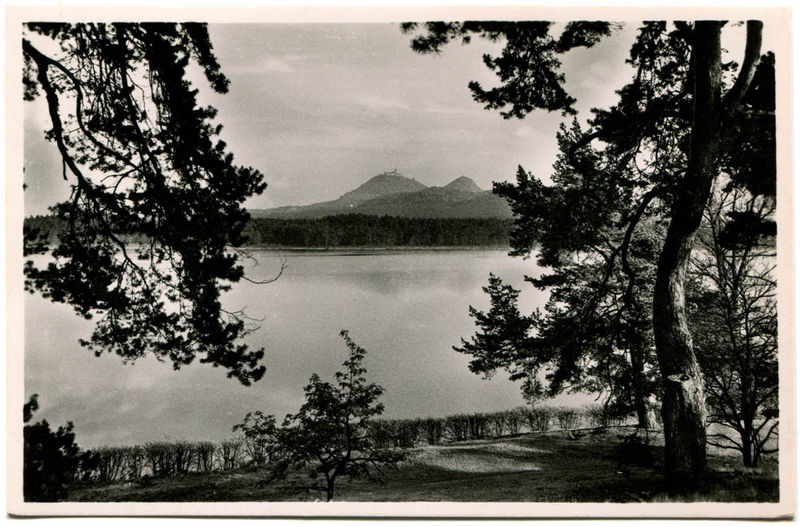 Datei:Thammühl, Großteich 14a.jpg