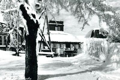 Lausche winter 28.jpg